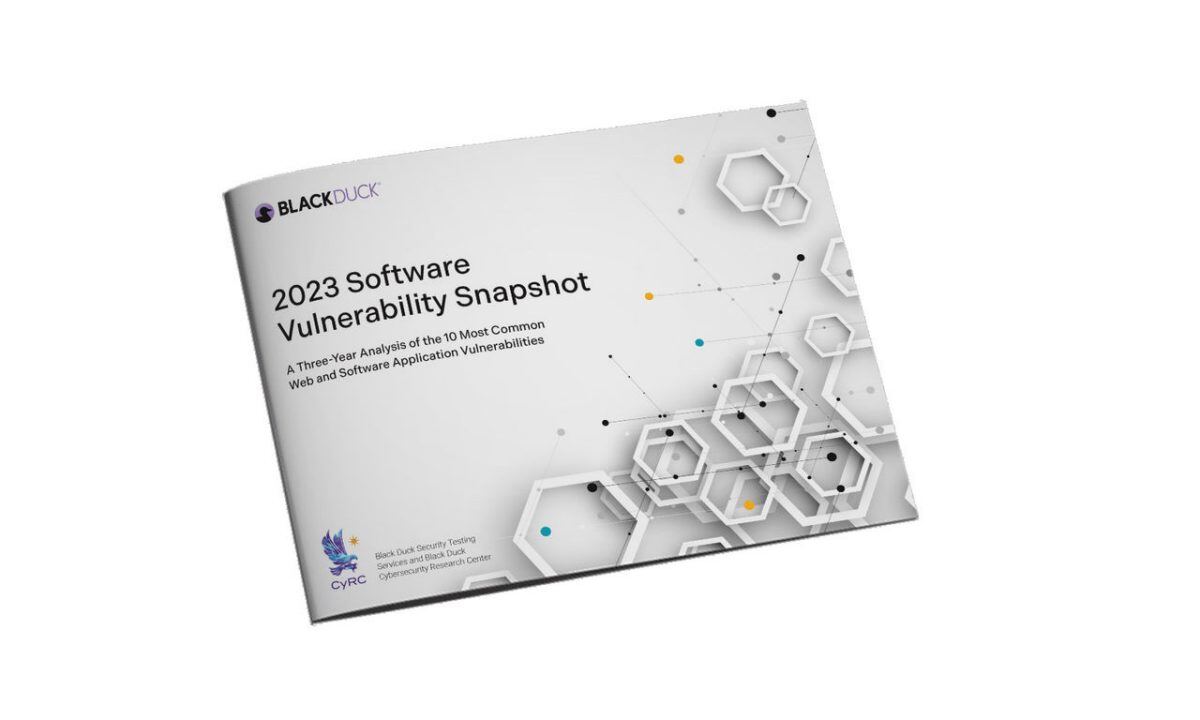 software-vulnerability-snapshot-report